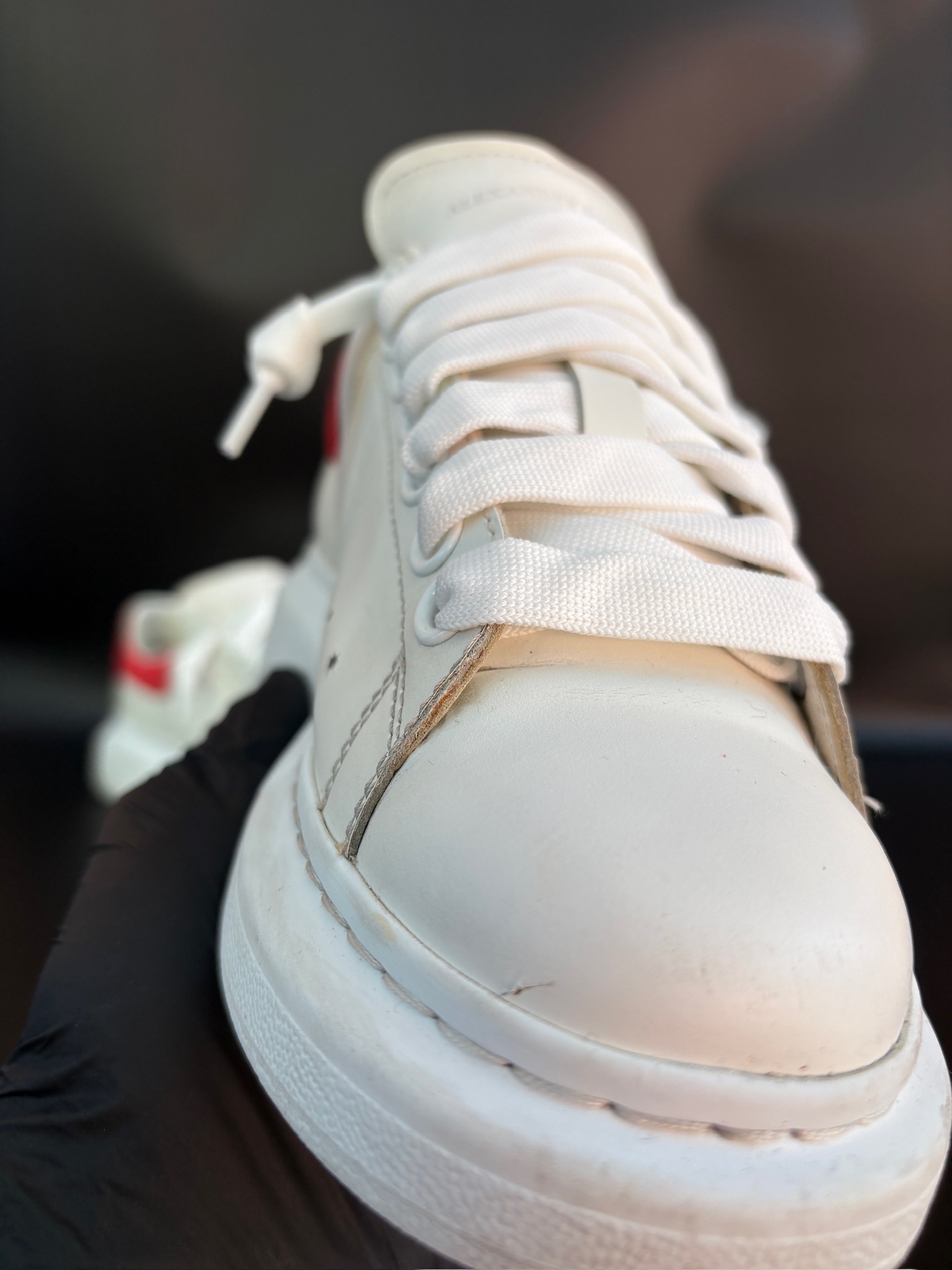 Alexander McQueen Rouge – Image 9